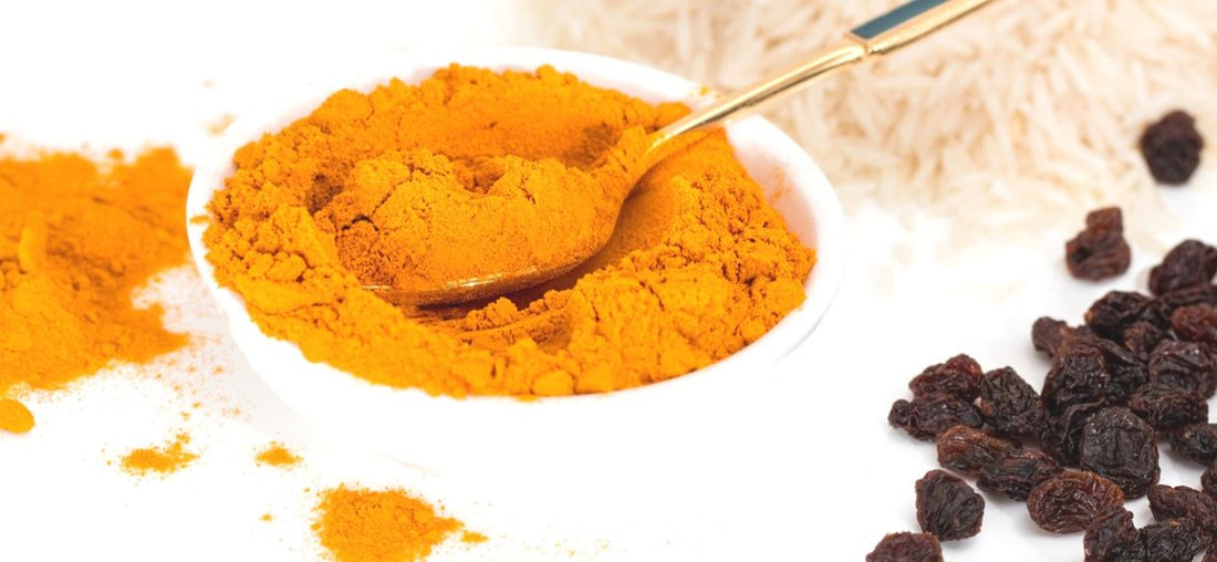 Die Goldene Paste – so hilft Curcuma deinem Hund