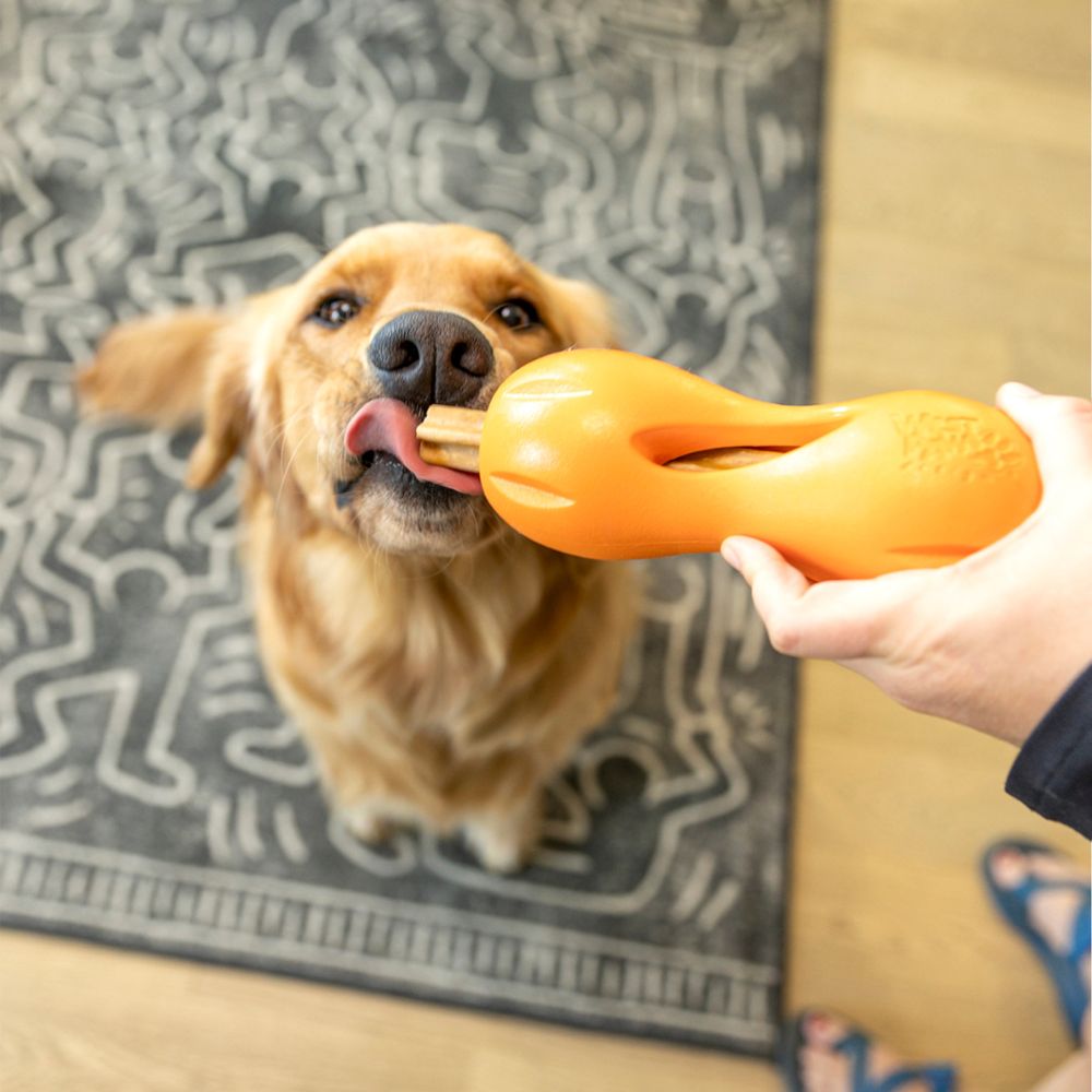 Hund kaut West Paw Dental Stick