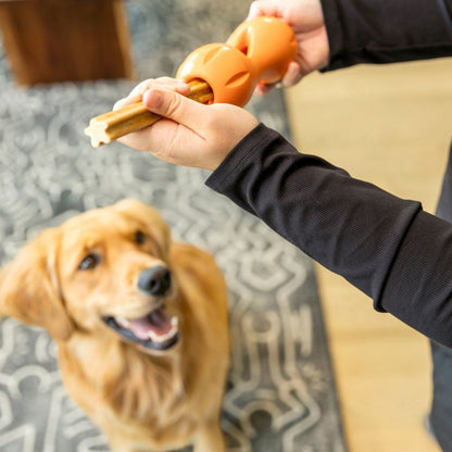 Hund mit West Paw Dental Stick