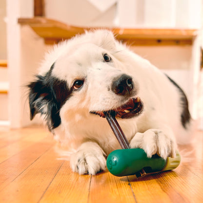 Woof BullySafe geöffnet