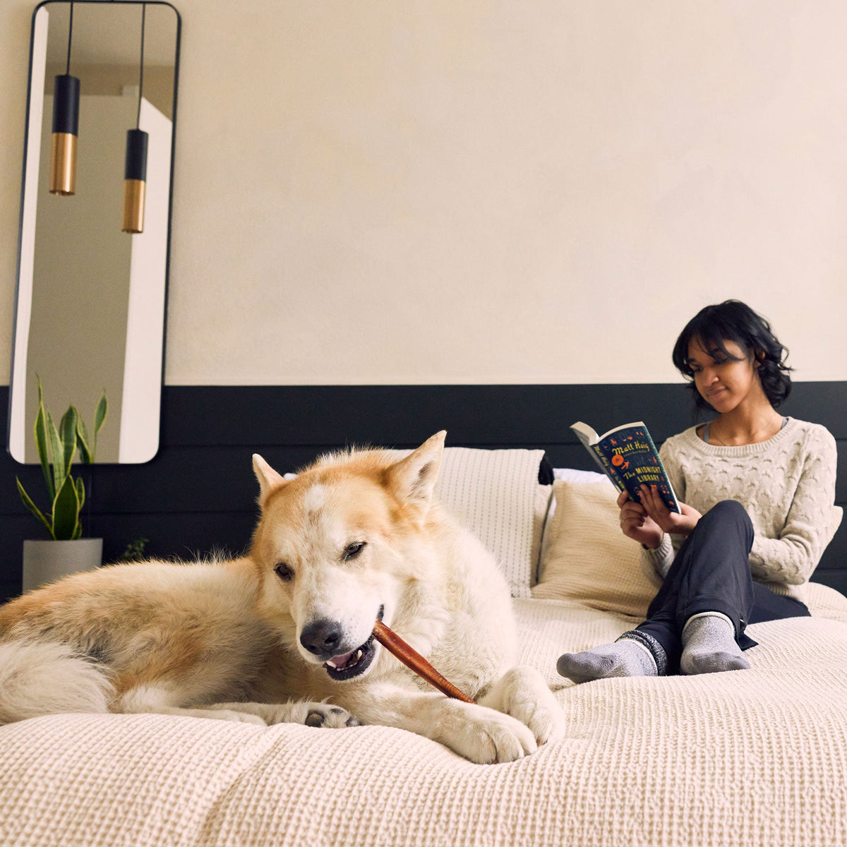 Woof BullySafe Detailansicht der Schraubverbindung
