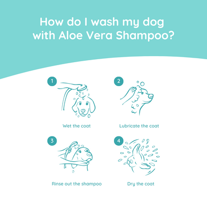 Anwendung Greenfields Hundeshampoo Aloe Vera