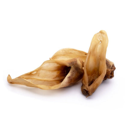 Lammohren