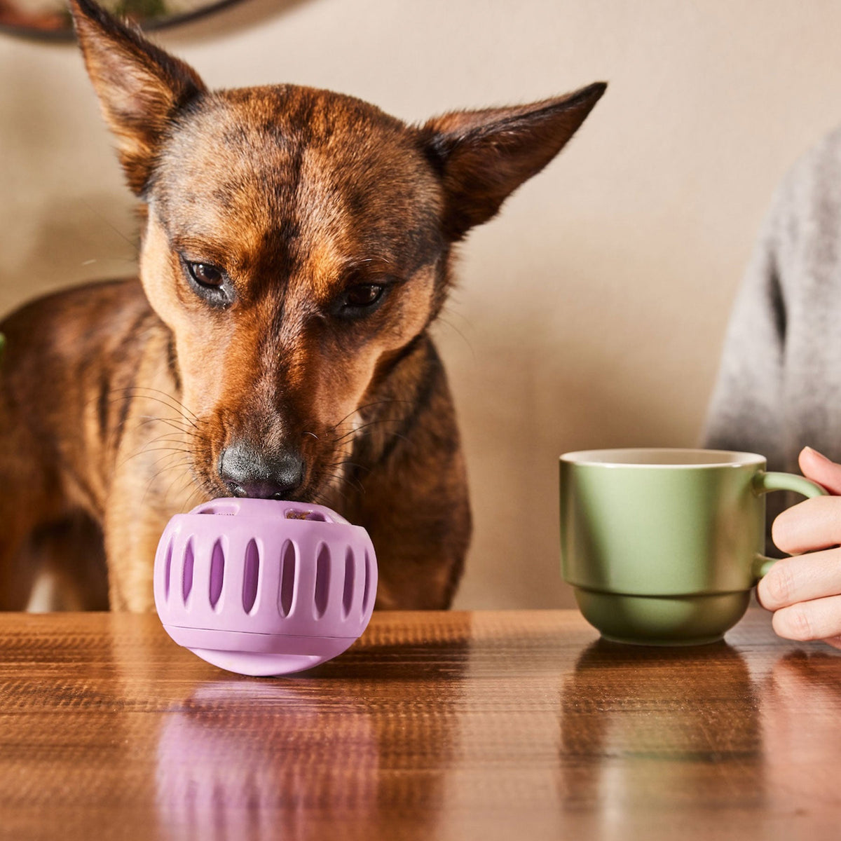 Woof Pupsicle in Lila aufgeschraubt mit Füllkammer