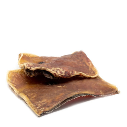 Rinder-Kopfhaut-Platte, groß