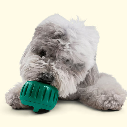 Woof Pupsicle Treat Tray beim Befüllen