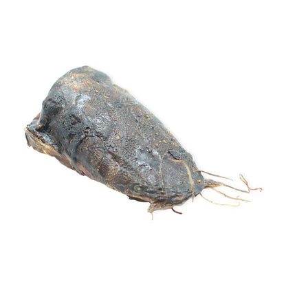 Wels- Köpfe klein