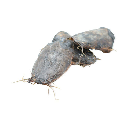 Wels- Köpfe klein